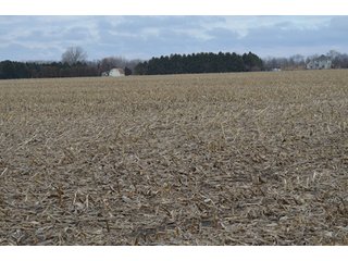 Property photo 32 - 173 +/- Acres Offered in 3 Tracts - Ohio Farmland